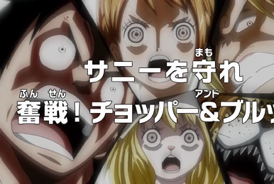 Episode 848 | One Piece Wiki | Fandom
