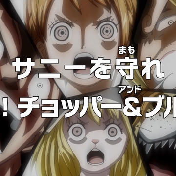 Episode 848 One Piece Wiki Fandom Episode 848 One Piece Wiki Fandom