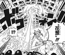 Nico Robin's Insane Devil Fruit Powers Explained!, Hana Hana no Mi