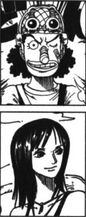 SBS 49 robin-usopp