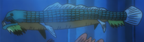 Scales Full Body