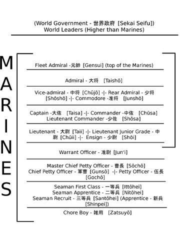 Marine Ranks One Piece Wiki Fandom