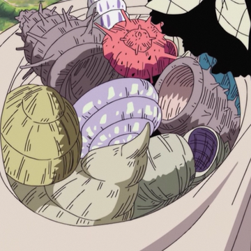 Dials One Piece Wiki Fandom Dials One Piece Wiki Fandom