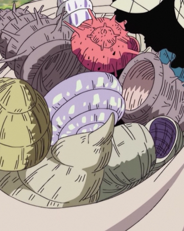 Dials One Piece Wiki Fandom Dials One Piece Wiki Fandom