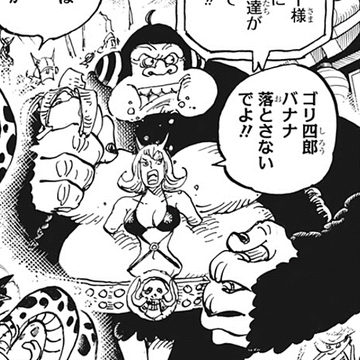Gorishiro One Piece Wiki Fandom Gorishiro One Piece Wiki Fandom
