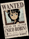 Robin's First Wanted Poster