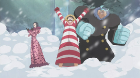 Straw Hats Arrival-1-