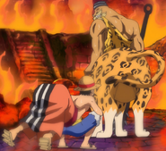 Luffy ogląda lamparciego centaura.