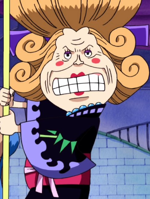 Roba One Piece Wiki Fandom