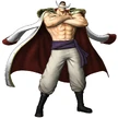 Whitebeard Pirate Warriors 3