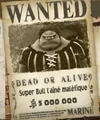 Bulaniki Second Avis de Recherche