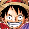 Monkey D. Luffy Post Timeskip Portrait