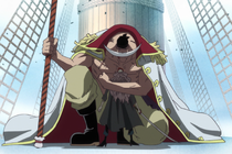 Whitebeard Forgives Squard