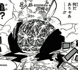Kame Kame no Mi Forme Hybride Manga Infobox