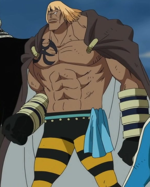 King, One Piece Wiki, Fandom