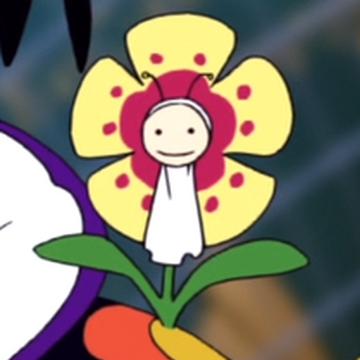 Lily Carnation One Piece Wiki Fandom