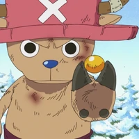 Rumble Ball One Piece Wiki Fandom