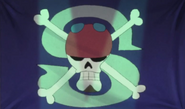 Silver Pirate Alliance's Jolly Roger
