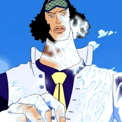 カテゴリ 自然系悪魔の実の能力者 One Piece Wiki Fandom