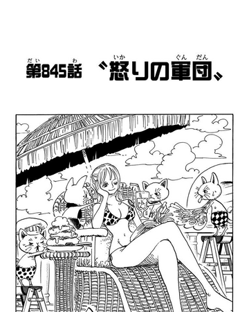 Chapitre 845 One Piece Encyclopedie Fandom