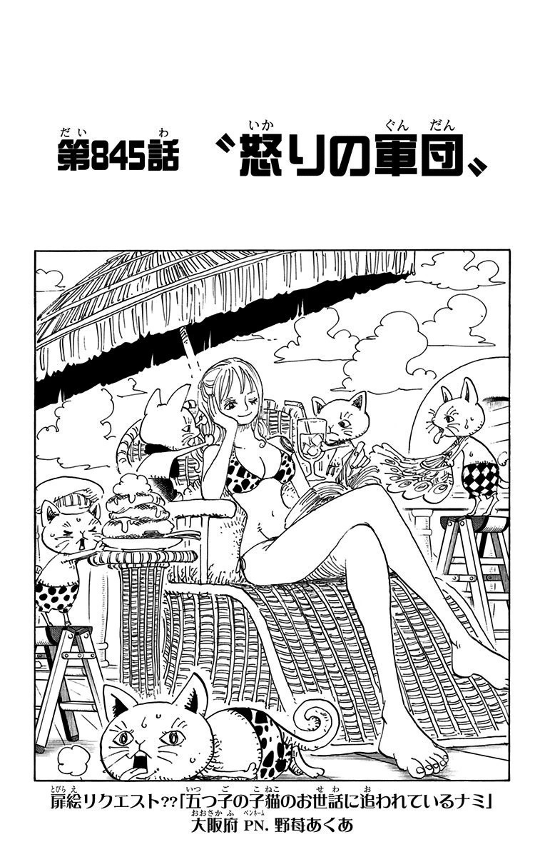 Chapitre 845 One Piece Encyclopedie Fandom