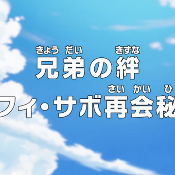 Episode 738 One Piece Wiki Fandom Episode 738 One Piece Wiki Fandom
