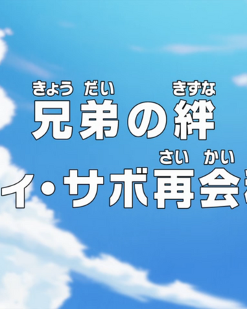 Episode 738 One Piece Wiki Fandom Episode 738 One Piece Wiki Fandom