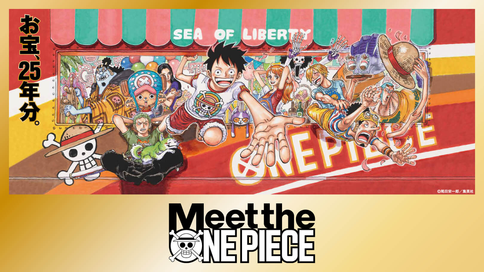 One Piece's New TV Program Reveals August 7 debut and Poster