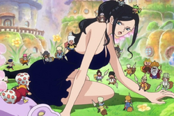 Nico Robin catturata dai Nani