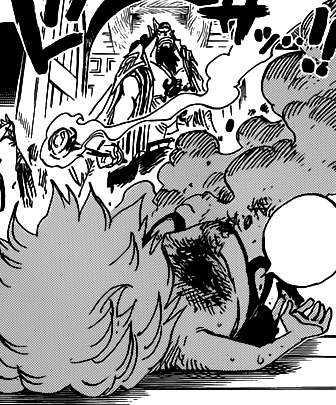 Koala One Piece Wiki Italia Fandom