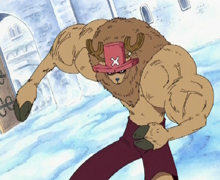 Tony Tony Chopper/Habilidades y poderes, One Piece Wiki