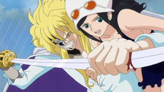 Cavendish One Piece Wiki Fandom