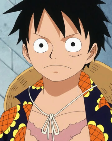 Monkey D Luffy Onepiecepedia Fandom Monkey D Luffy Onepiecepedia Fandom
