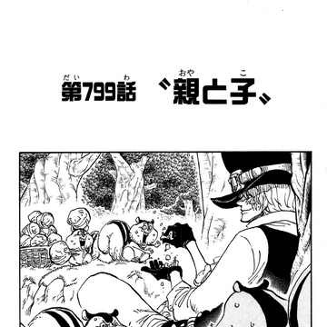 Chapter 799 One Piece Wiki Fandom