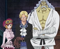 Arco De Dressrosa One Piece Wiki Fandom