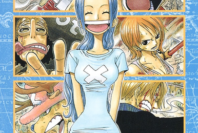 One Piece, Vol. 25 (Volume 25): The 100 Million Berry Man : Oda, Eiichiro:  : Books