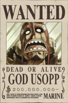 Wanted Posters One Piece Wiki Fandom