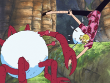Surprise Balls vs. Sanji