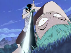 Roronoa Zoro Onepiecepedia Fandom