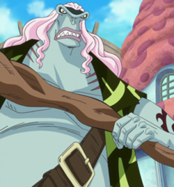 Homens-Peixe, One Piece Wiki