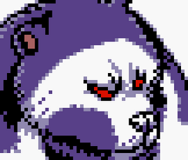 Pirate Bear