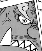 S-Shark Pupil