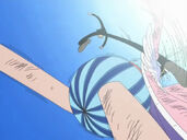 Karkówka a'la basse côte