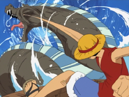 Luffy Fighting We Are!