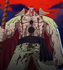 Edward Newgate, One Piece Wiki