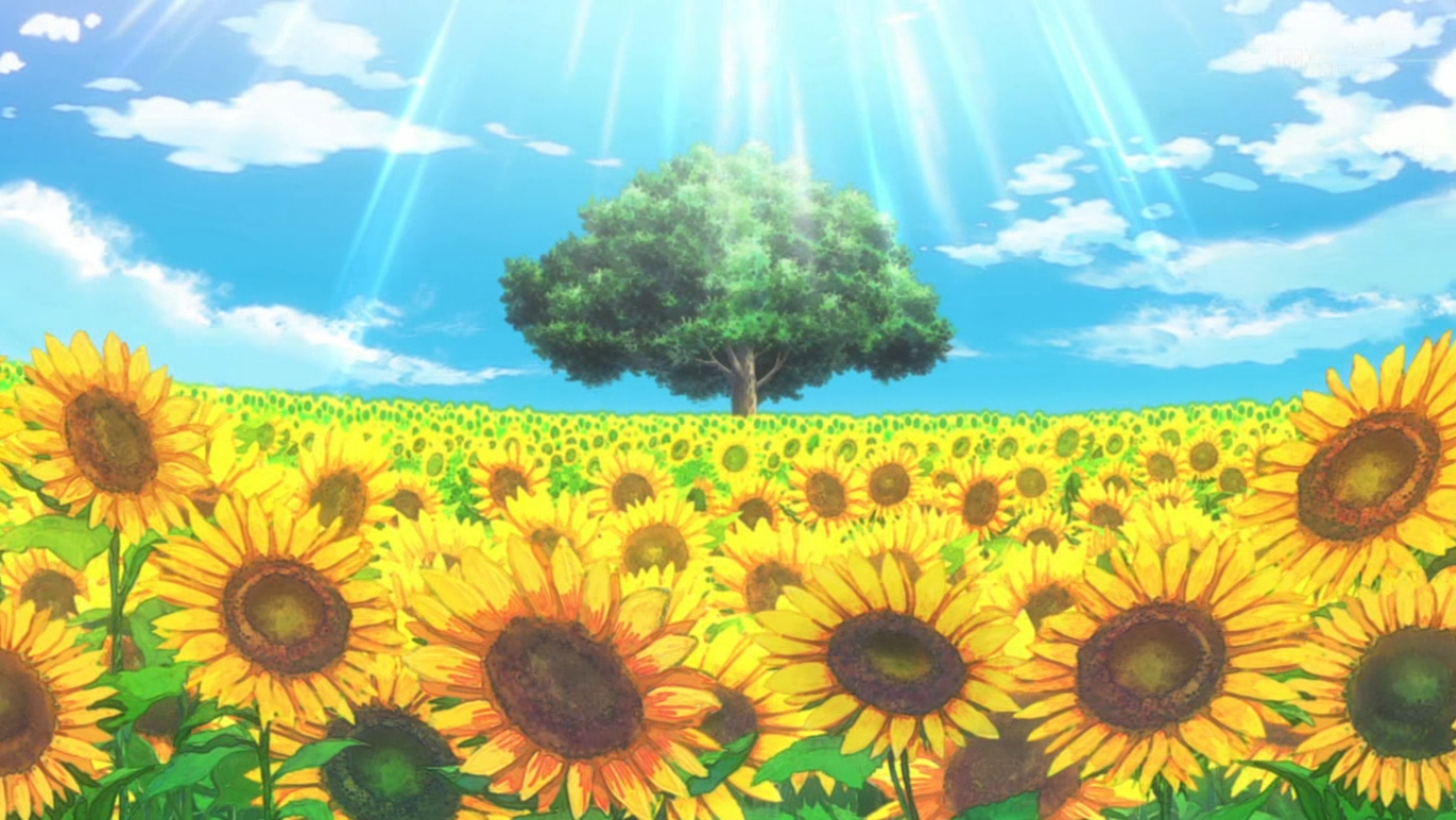 Campo de Flores | One Piece Wiki | Fandom