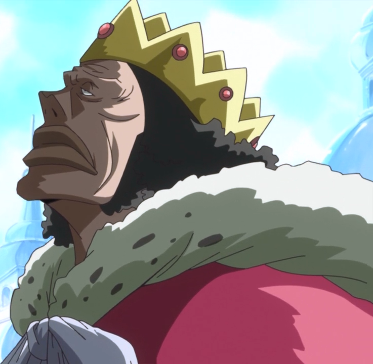 King, One Piece Wiki, Fandom