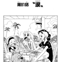 Chapter 81 One Piece Wiki Fandom