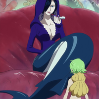 Shyarly One Piece Wiki Fandom Naruto villains ranma villains magical doremi villains road rovers villains tokyo ghoul villains the venture bros villains claymore villains cardcaptor sakura villains duel masters villains code geass villains sword art online villains bakugan battle brawlers villains kill la kill villains sonic. shyarly one piece wiki fandom