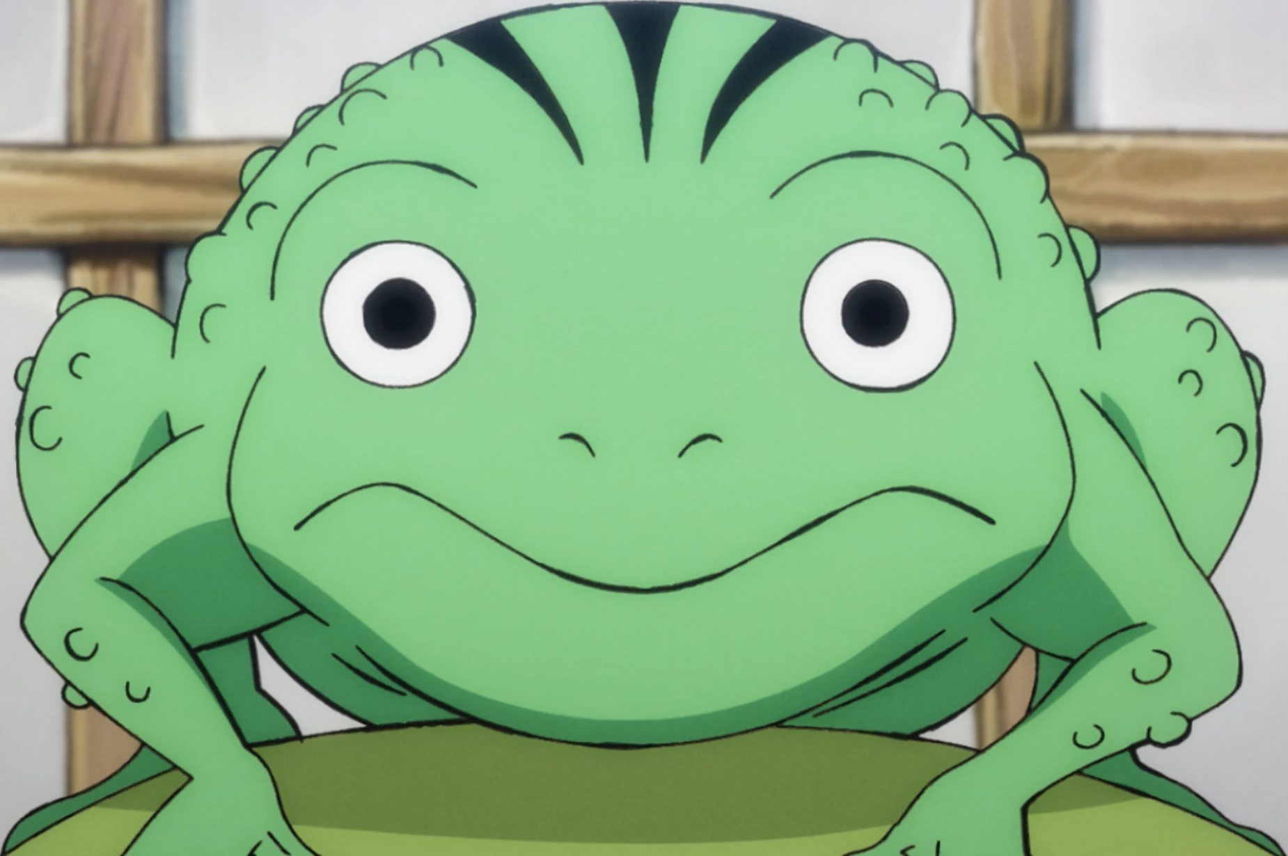 Amazon.com: Samurai Frog Gift Ninja Japanese Anime Toad Long Sleeve T-Shirt  : Clothing, Shoes & Jewelry